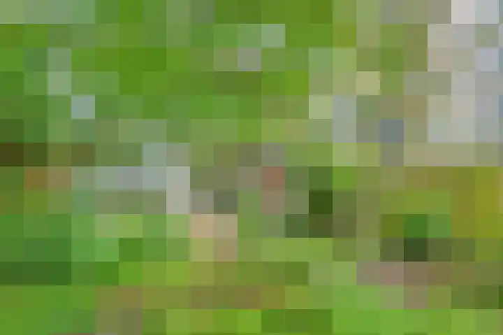 Meerpaal 127 Groningen thumbnail 33