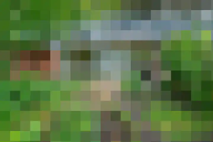 Meerpaal 127 Groningen thumbnail 34