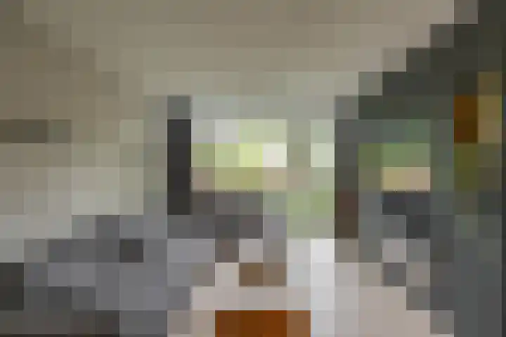 Meerpaal 131 Groningen thumbnail 12