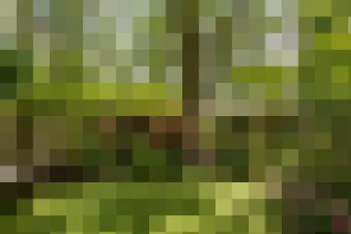 Meerpaal 131 Groningen thumbnail 14
