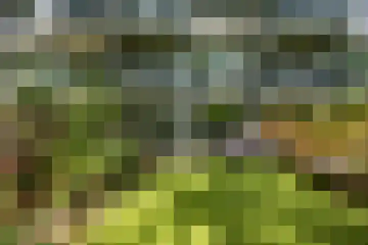 Meerpaal 131 Groningen thumbnail 15