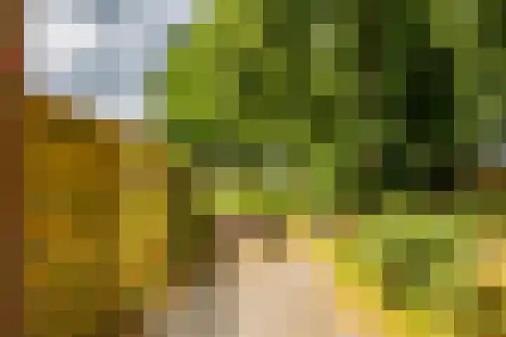Meerpaal 131 Groningen thumbnail 36