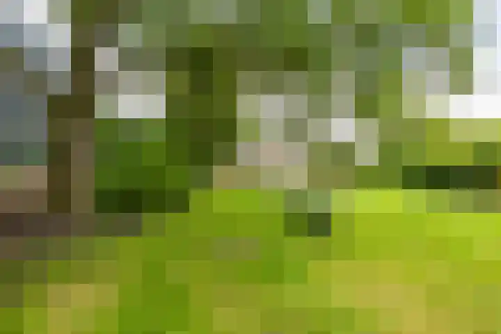 Meerpaal 131 Groningen thumbnail 37