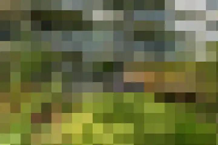 Meerpaal 131 Groningen thumbnail 39