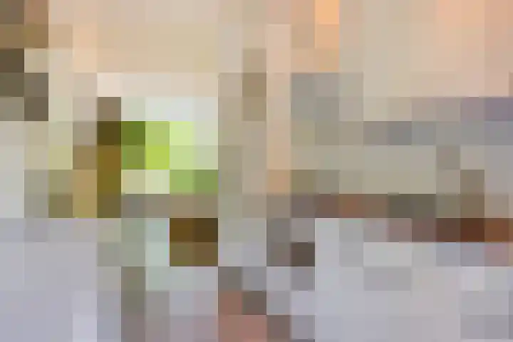 Meerpaal 14 Groningen thumbnail 12