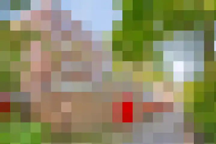 Meerpaal 14 Groningen thumbnail 29
