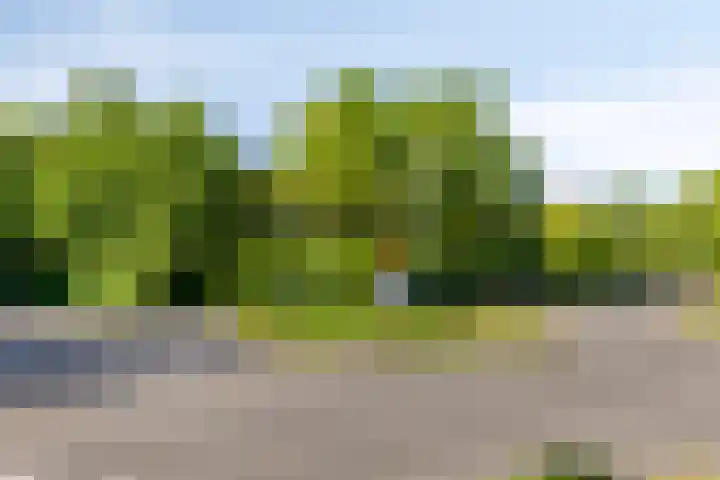 Meerpaal 14 Groningen thumbnail 30