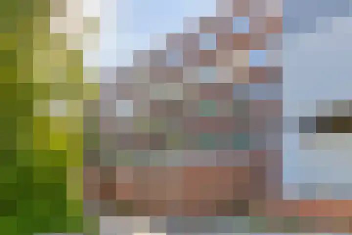 Meerpaal 14 Groningen thumbnail 33