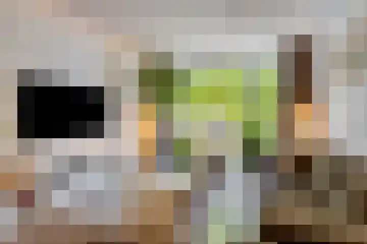 Meerpaal 14 Groningen thumbnail 6