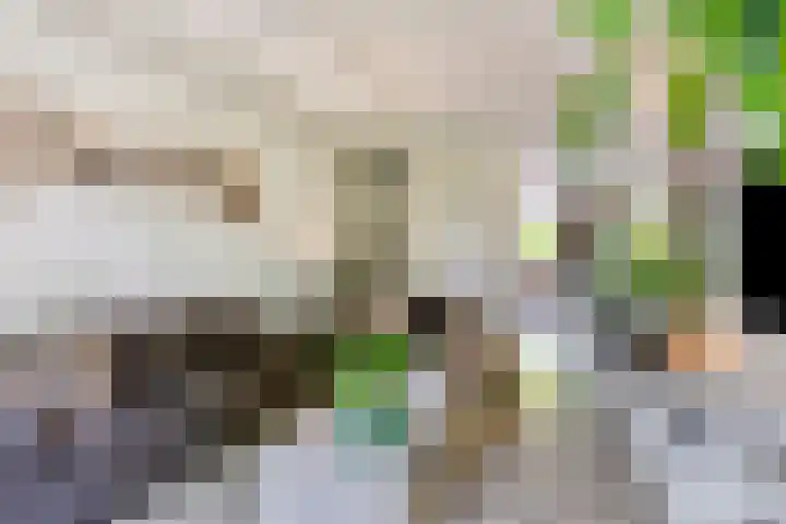 Meerpaal 14 Groningen thumbnail 7