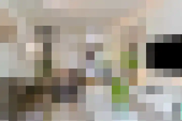 Meerpaal 14 Groningen thumbnail 8