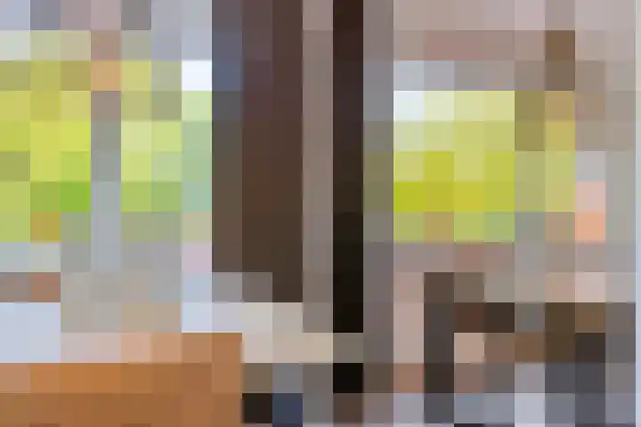 Meerpaal 14 Groningen thumbnail 9