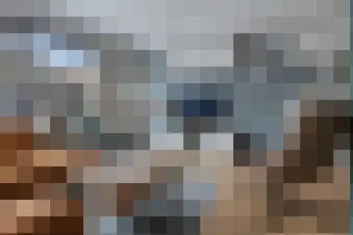 Meerpaal 156 Groningen thumbnail 18