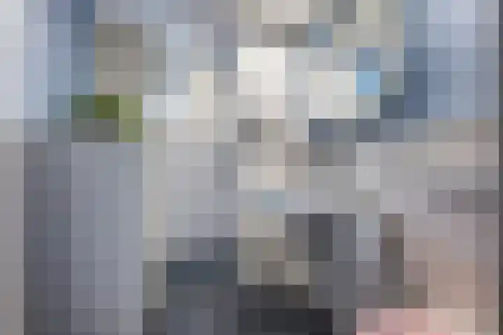 Meerpaal 156 Groningen thumbnail 26