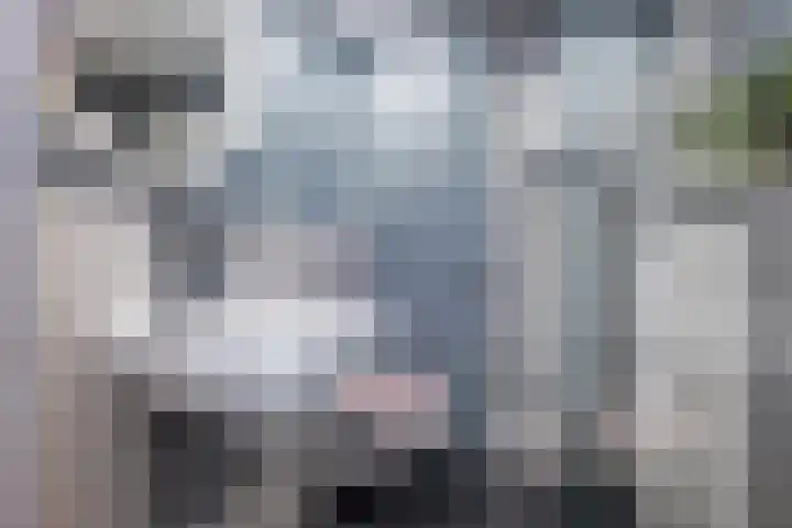 Meerpaal 156 Groningen thumbnail 27
