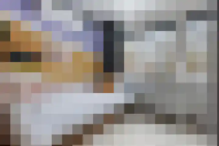 Meerpaal 156 Groningen thumbnail 29
