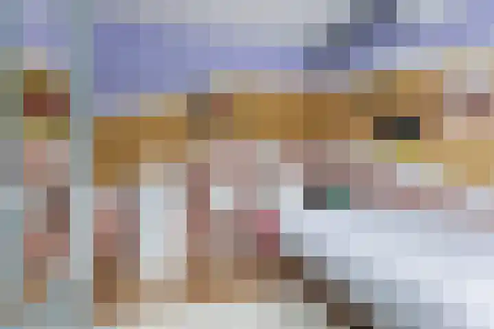 Meerpaal 156 Groningen thumbnail 30