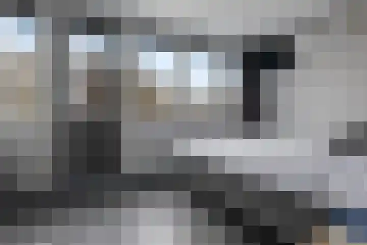 Meerpaal 156 Groningen thumbnail 33