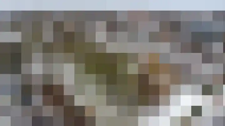 Meerpaal 156 Groningen thumbnail 6