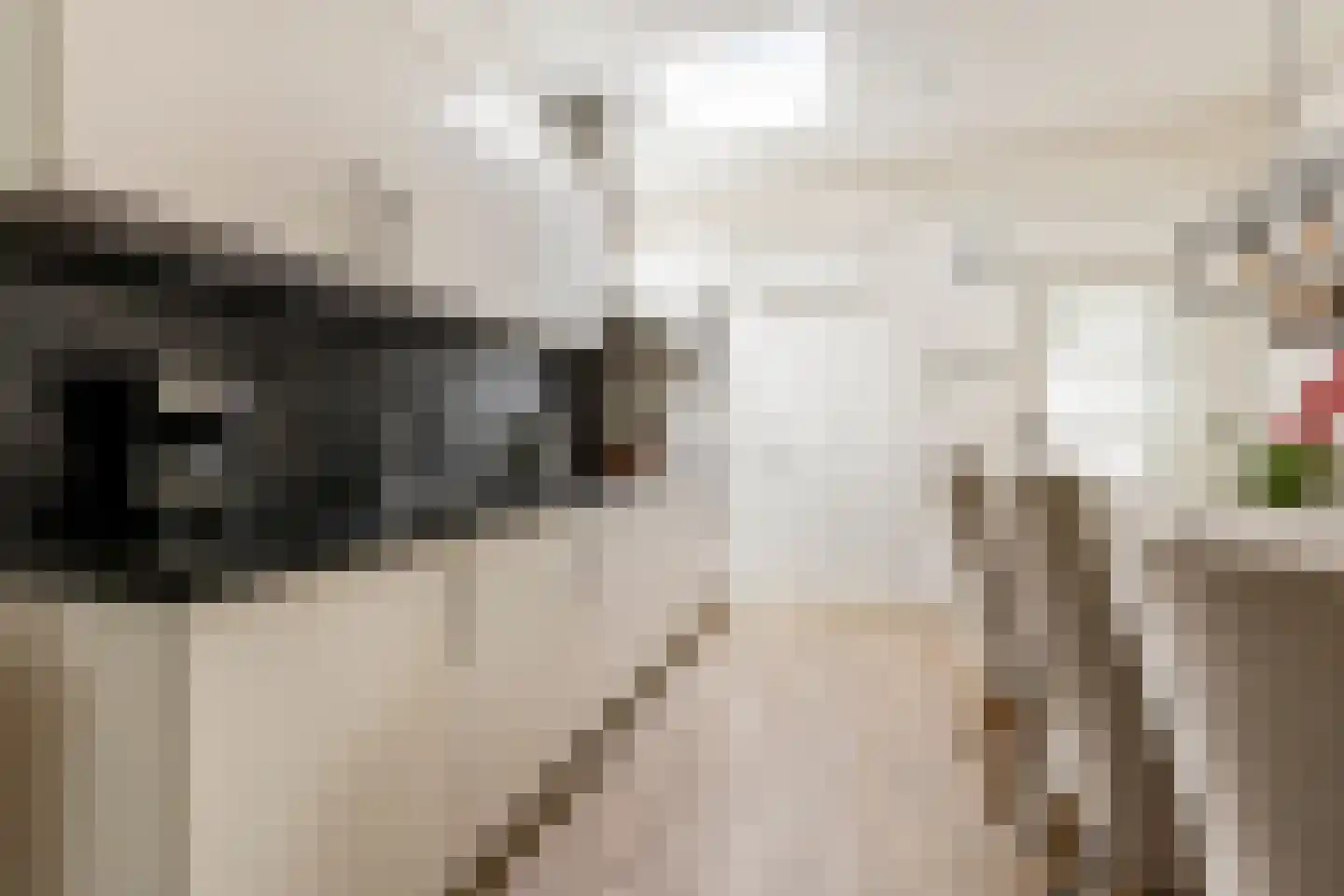 Meerpaal 162 Groningen thumbnail 17
