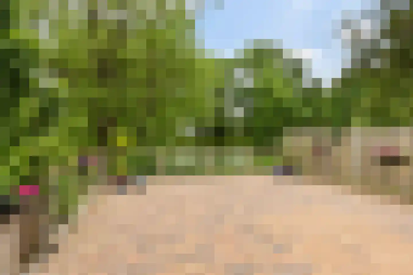 Meerpaal 162 Groningen thumbnail 35