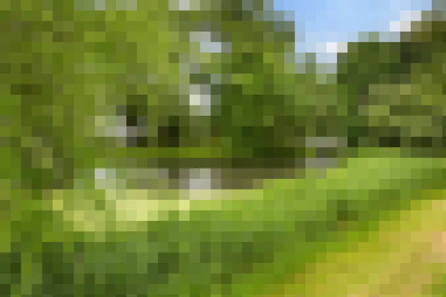 Meerpaal 162 Groningen thumbnail 36