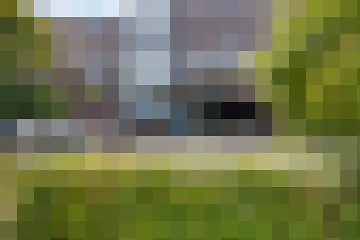 Meerpaal 18 Groningen thumbnail 10