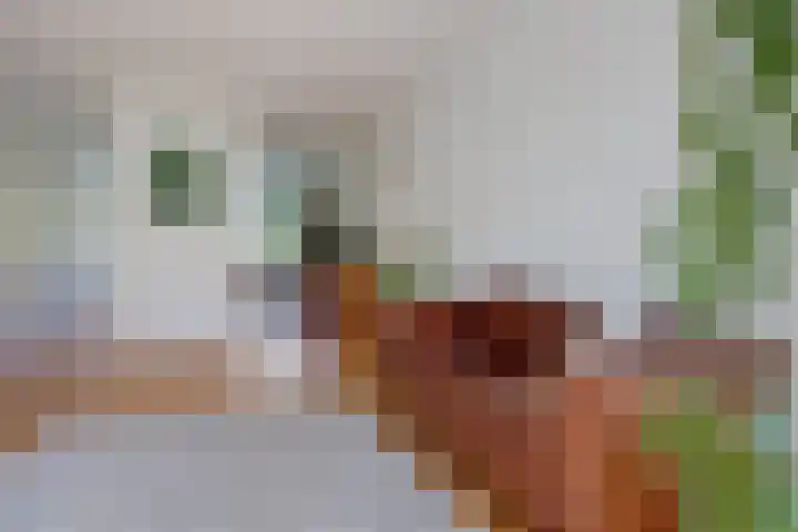 Meerpaal 18 Groningen thumbnail 18