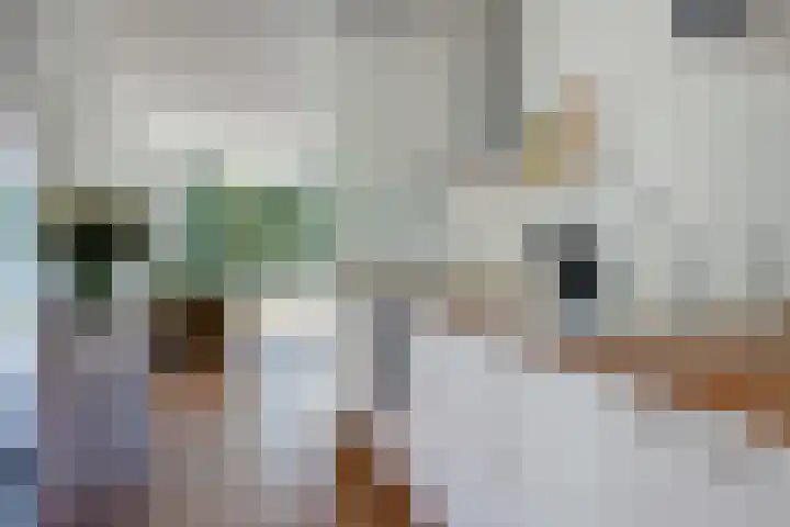 Meerpaal 18 Groningen thumbnail 20