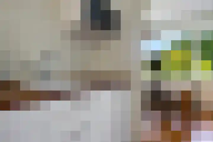 Meerpaal 18 Groningen thumbnail 21