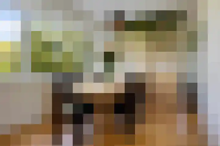Meerpaal 18 Groningen thumbnail 22
