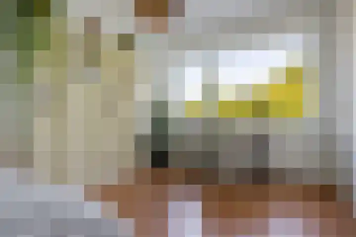 Meerpaal 18 Groningen thumbnail 27