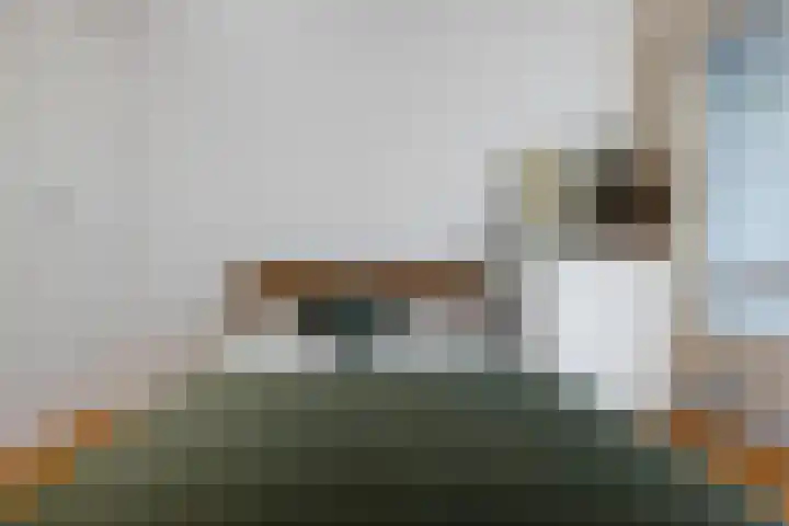 Meerpaal 18 Groningen thumbnail 33