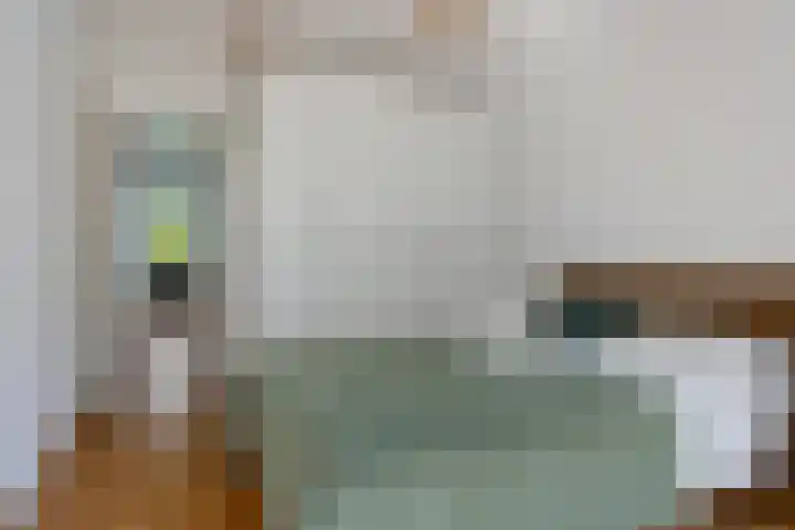 Meerpaal 18 Groningen thumbnail 34