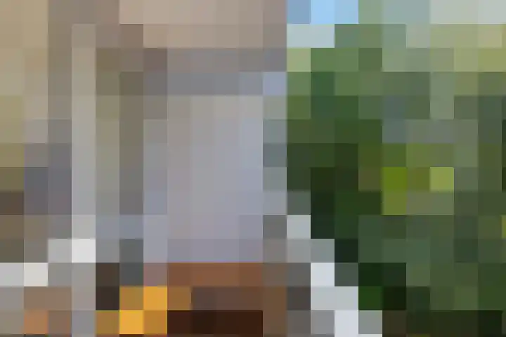 Meerpaal 18 Groningen thumbnail 36