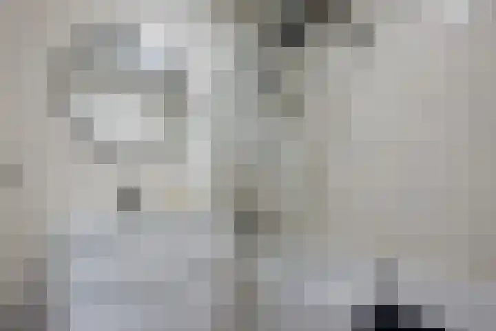 Meerpaal 18 Groningen thumbnail 38