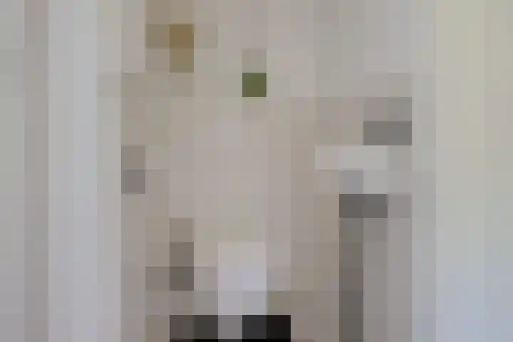 Meerpaal 18 Groningen thumbnail 41