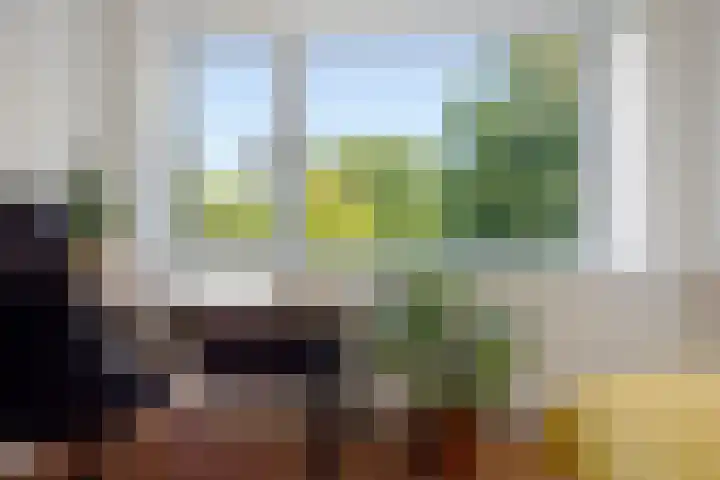 Meerpaal 18 Groningen thumbnail 45