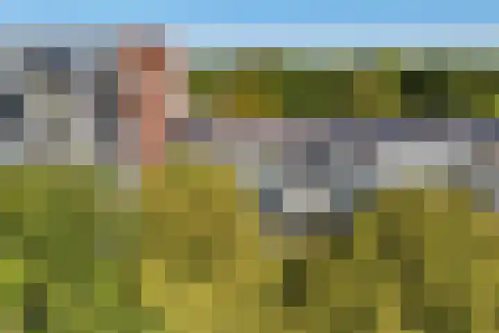 Meerpaal 18 Groningen thumbnail 49