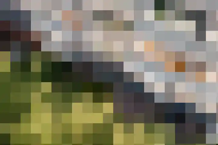 Meerpaal 18 Groningen thumbnail 52