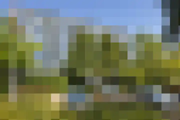 Meerpaal 18 Groningen thumbnail 54