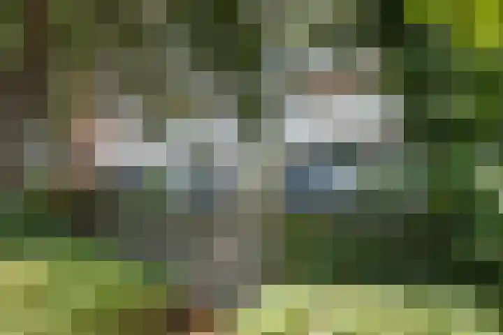 Meerpaal 18 Groningen thumbnail 55
