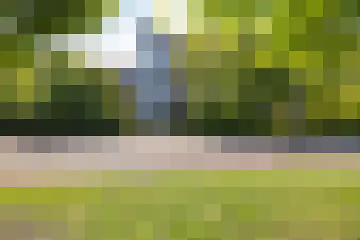 Meerpaal 18 Groningen thumbnail 56