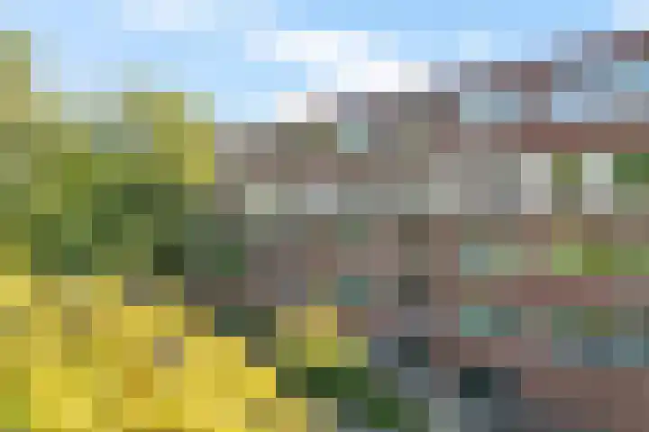 Meerpaal 18 Groningen thumbnail 7