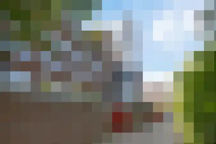 Meerpaal 18 Groningen thumbnail 8