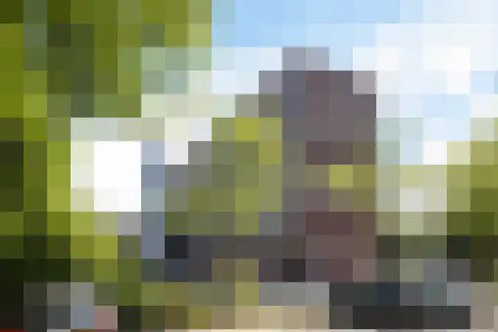 Meerpaal 18 Groningen thumbnail 9