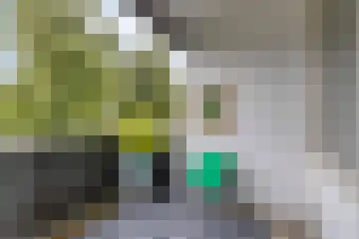 Meerpaal 199 Groningen thumbnail 15