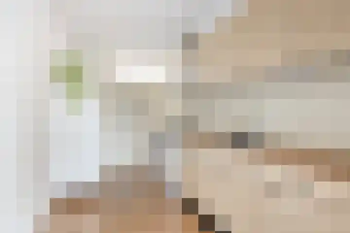 Meerpaal 199 Groningen thumbnail 16