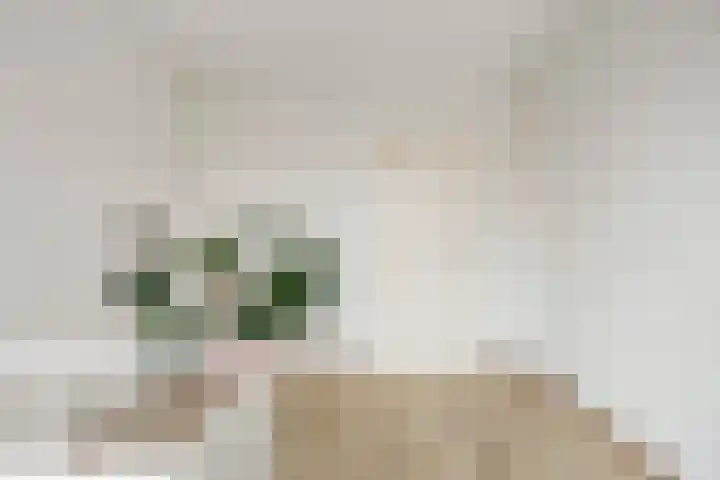 Meerpaal 199 Groningen thumbnail 22