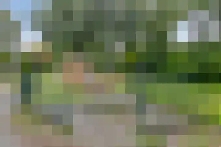 Meerpaal 199 Groningen thumbnail 31